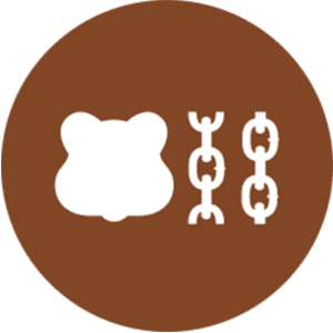 Berachain (BERA) logo