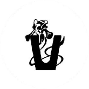 Vana (VANA) logo