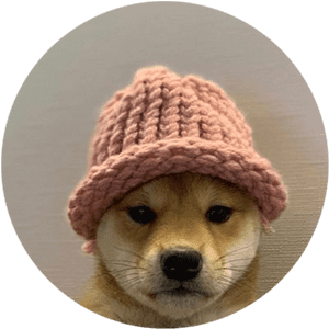 dogwifhat (WIF) logo